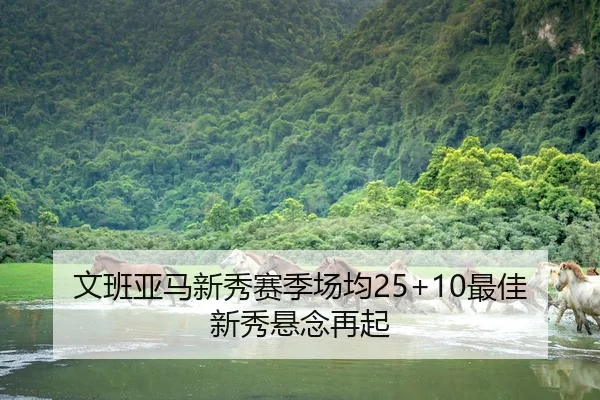 文班亚马新秀赛季场均25+10最佳新秀悬念再起